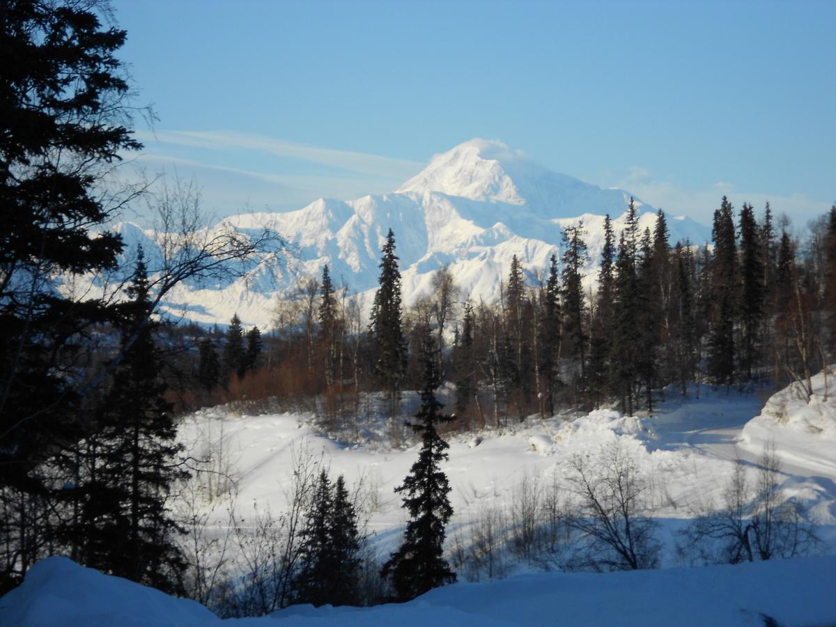 Denali Primrose Bed & Breakfast Healy Dış mekan fotoğraf