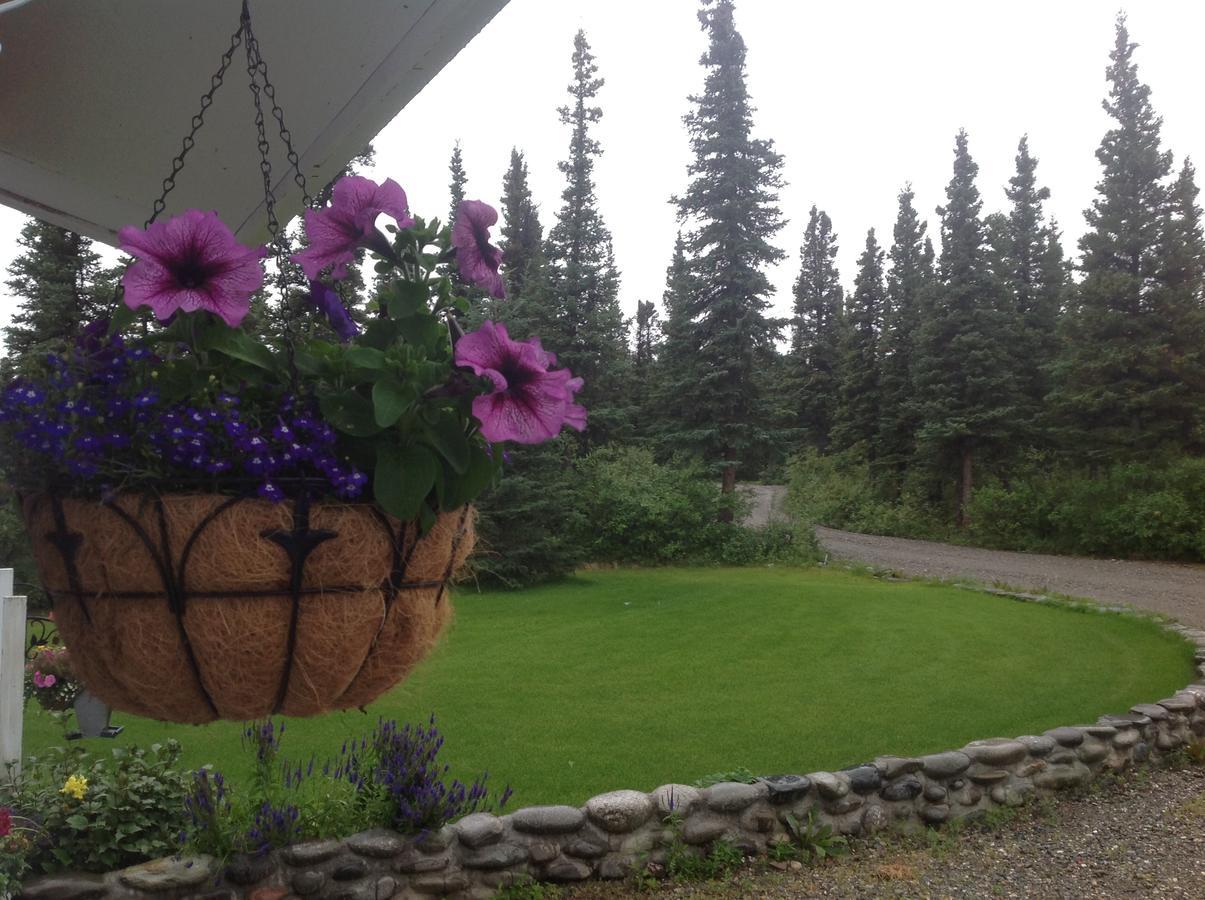 Denali Primrose Bed & Breakfast Healy Dış mekan fotoğraf