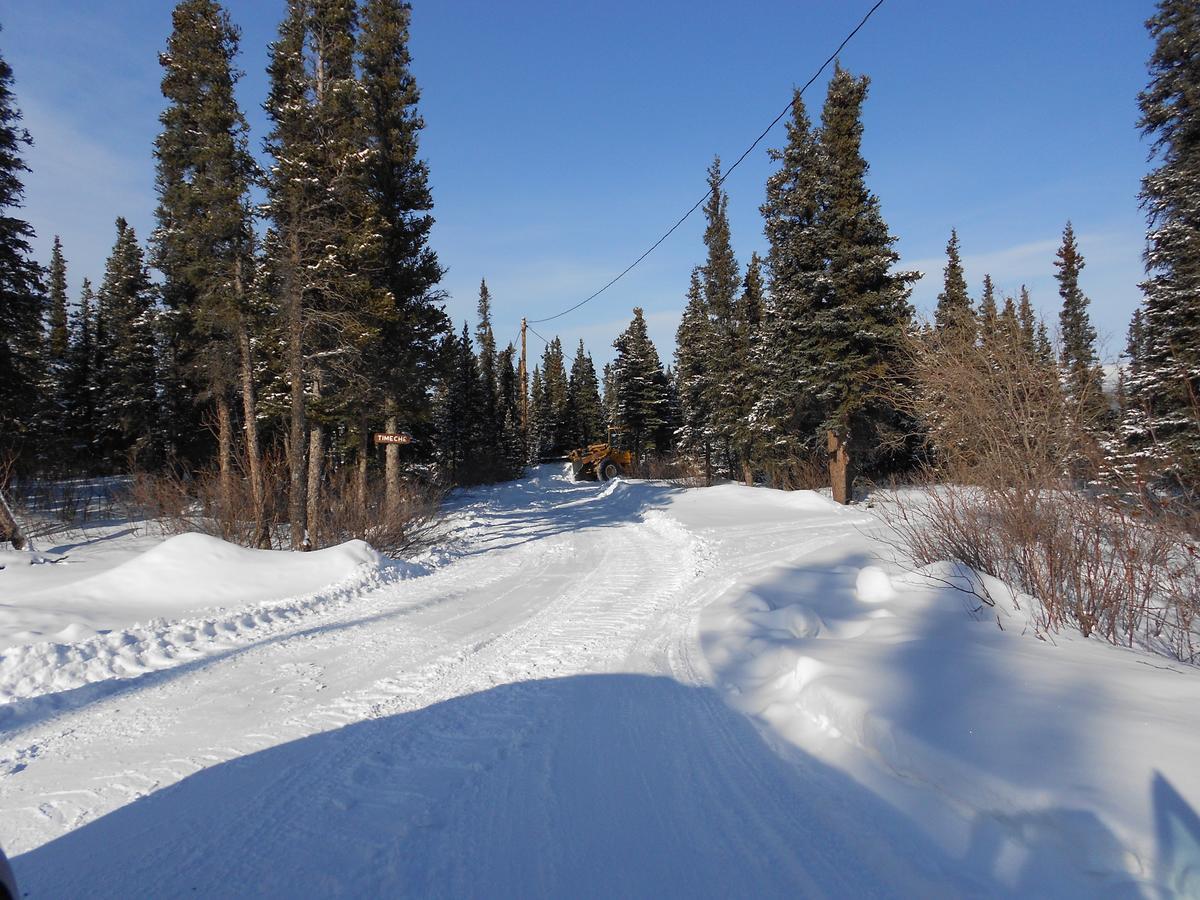 Denali Primrose Bed & Breakfast Healy Dış mekan fotoğraf