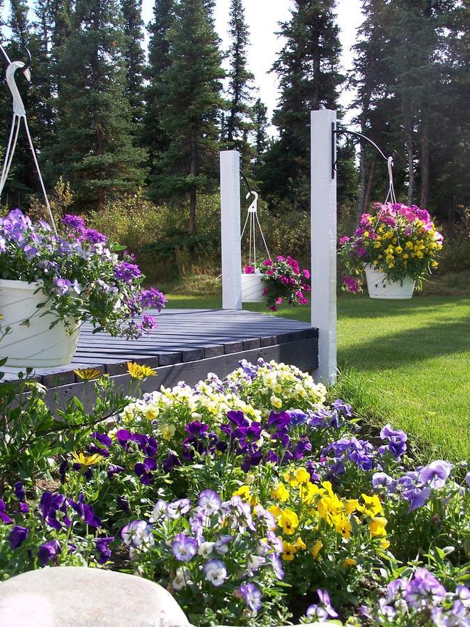 Denali Primrose Bed & Breakfast Healy Dış mekan fotoğraf